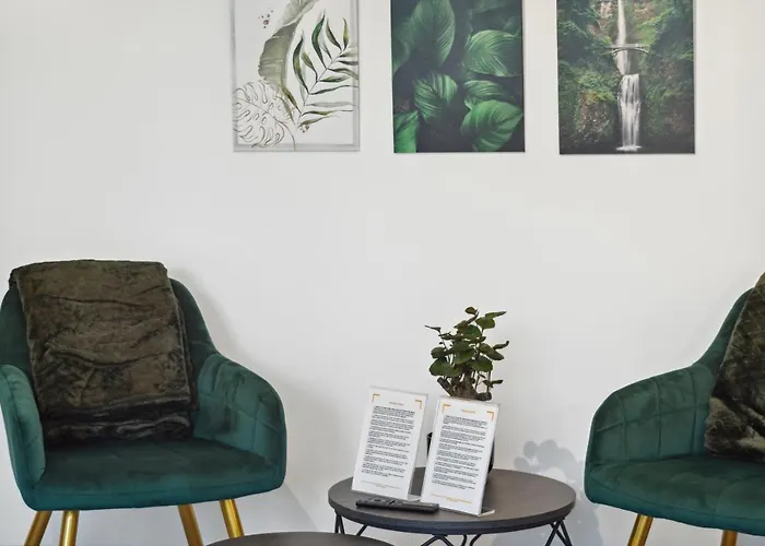 1 Zi. Wohnung, 34M², Parken, Messe Dus